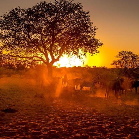 Bagatelle Kalahari Boutique Farmhouse Lodge Mariental Exterior foto