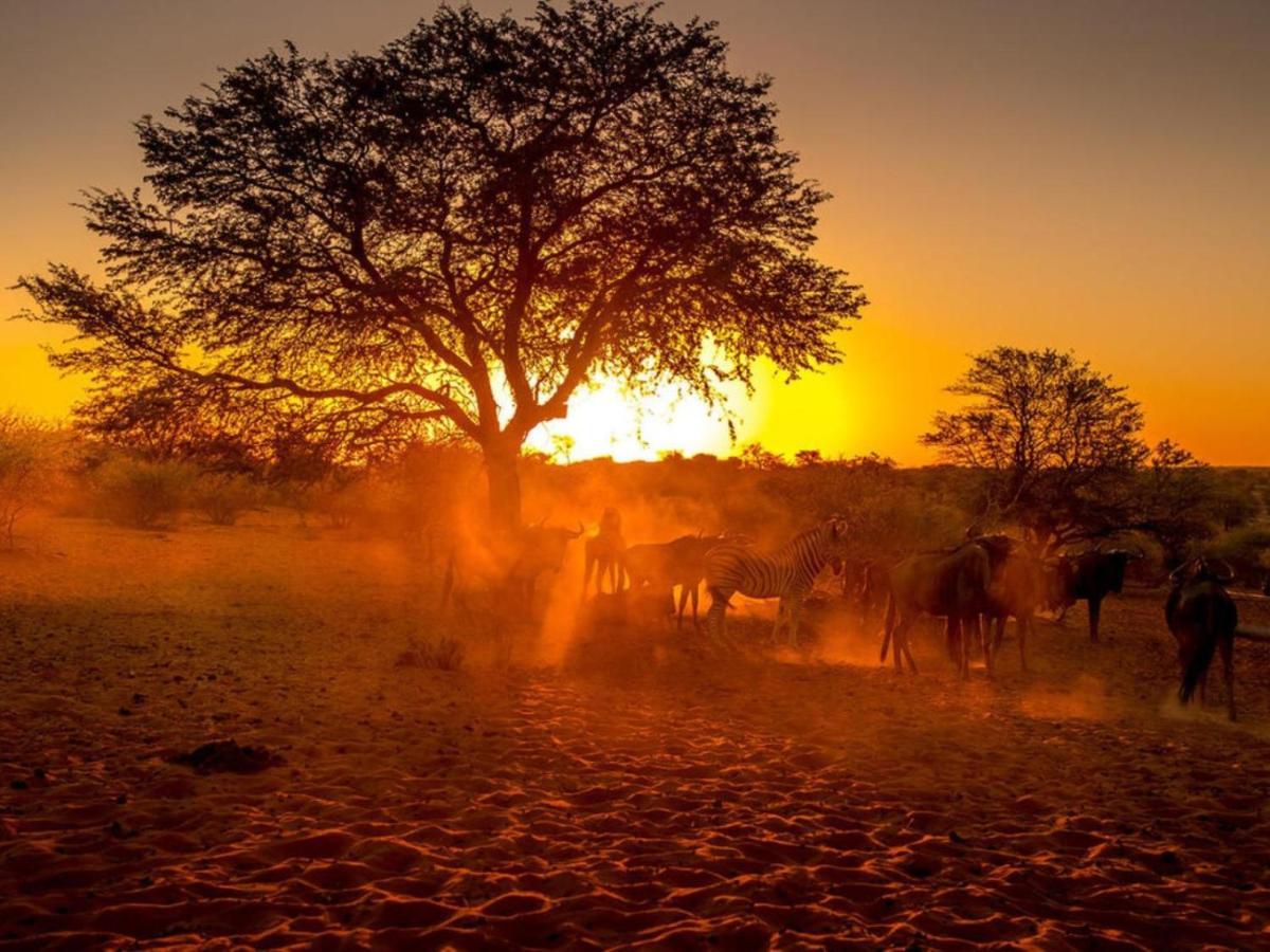 Bagatelle Kalahari Boutique Farmhouse Lodge Mariental Exterior foto